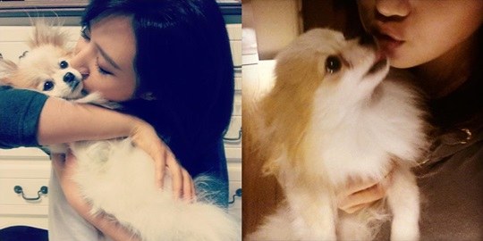 Yuri 愛犬