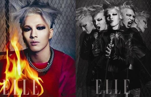 太陽 ELLE 11月