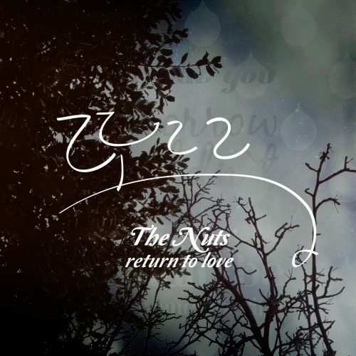 The Nuts "Return to Love"