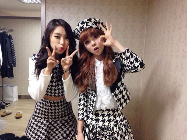 寶拉、HEYNE