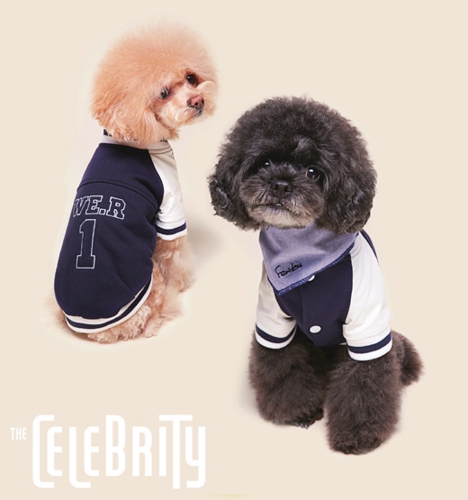 伯賢 The Celebrity 2