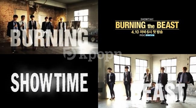 SHOWTIME BURNING THE BEAST