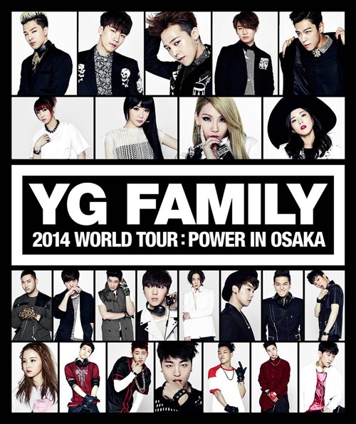 YG Family - 2014 World Tour：Power