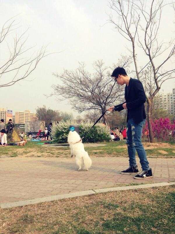 Henry 遛狗 3