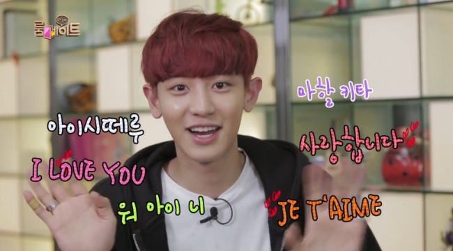 Chan Yeol "Roommate" 感謝影片
