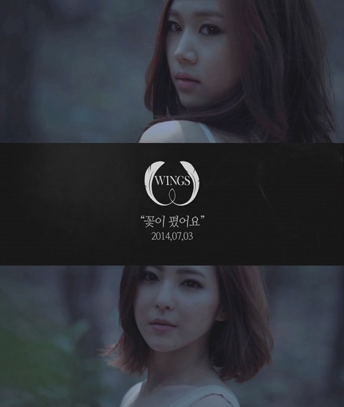 WINGS "Blossom" 預告 WINGS "Blossom" 預告