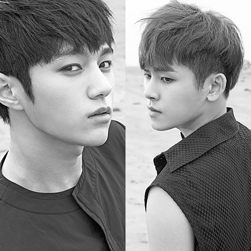 L、Hoya