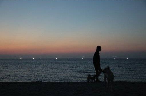 李孝利、順心