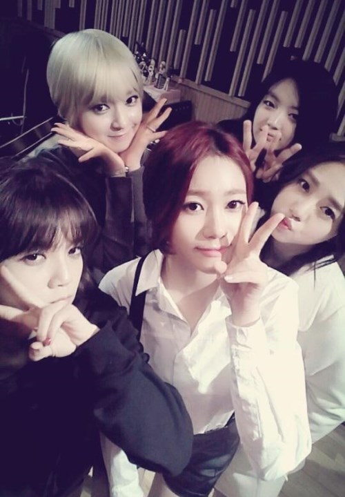 AOA Black AOA Black