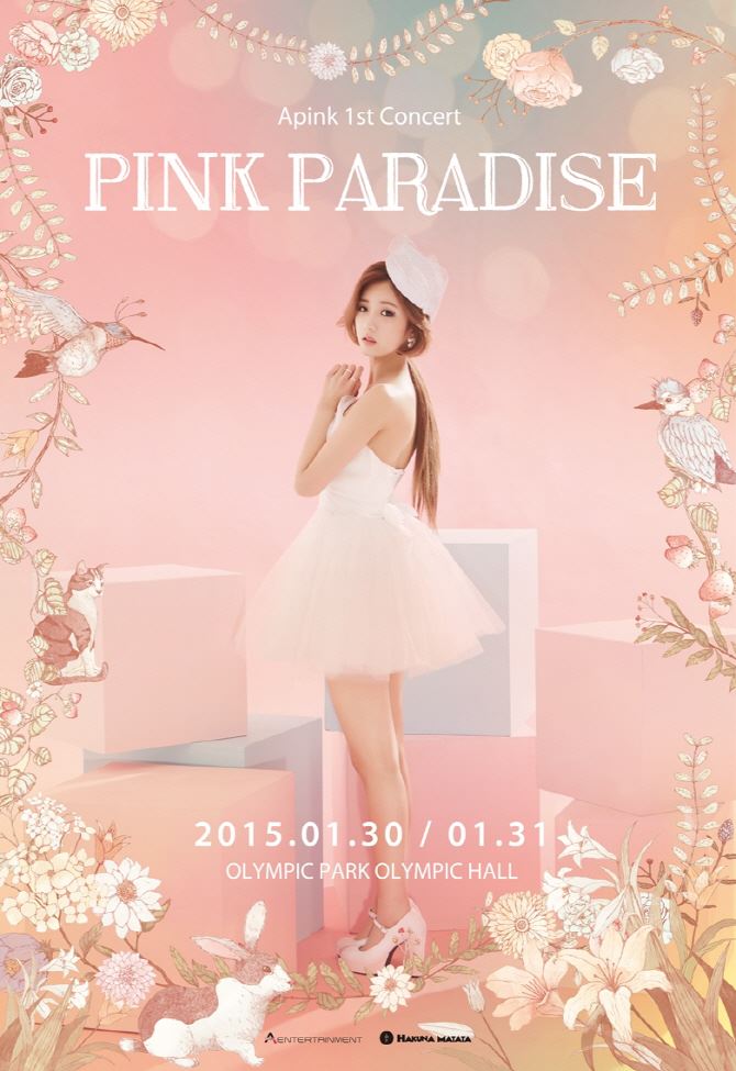 A Pink 演唱會海報：普美