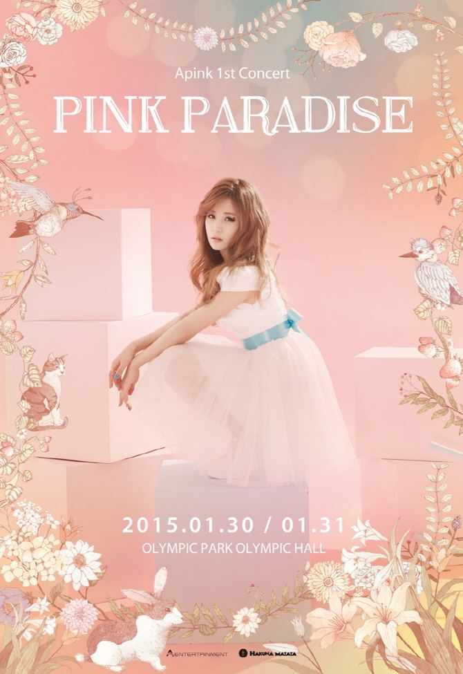 A Pink 演唱會海報：初瓏