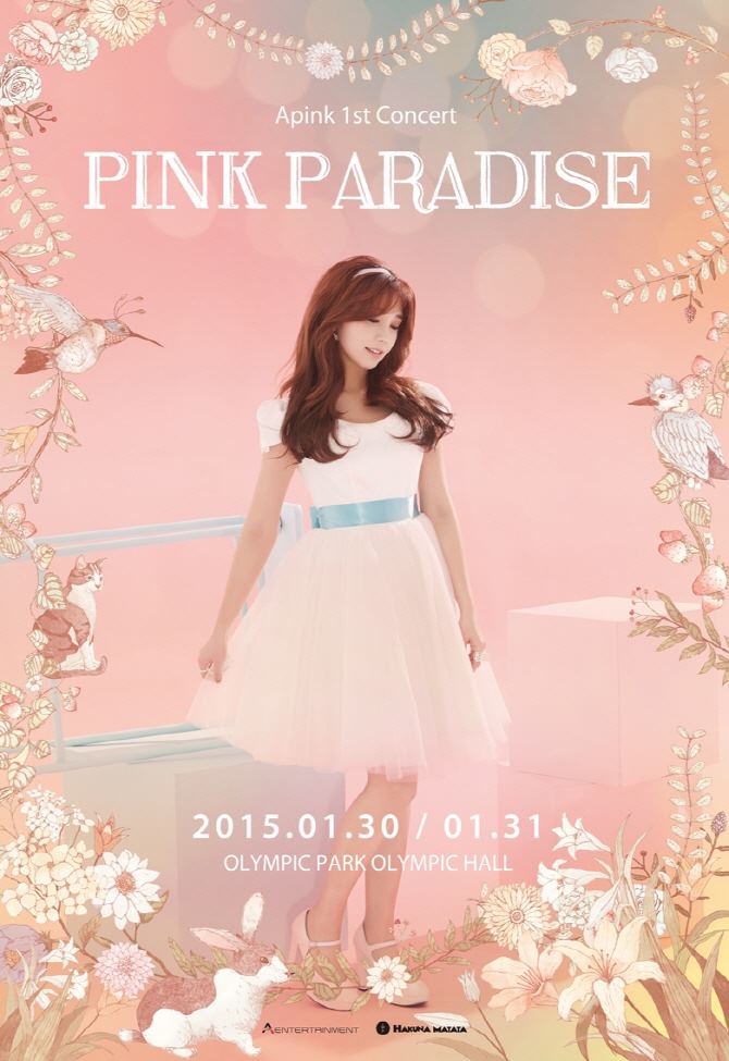 A Pink 演唱會海報：恩地