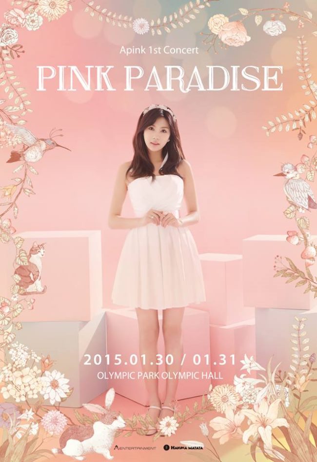 A Pink 演唱會個人海報：夏榮