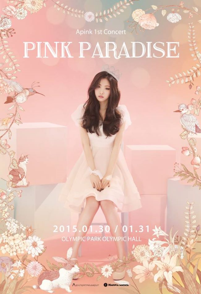 A Pink 演唱會個人海報：娜恩