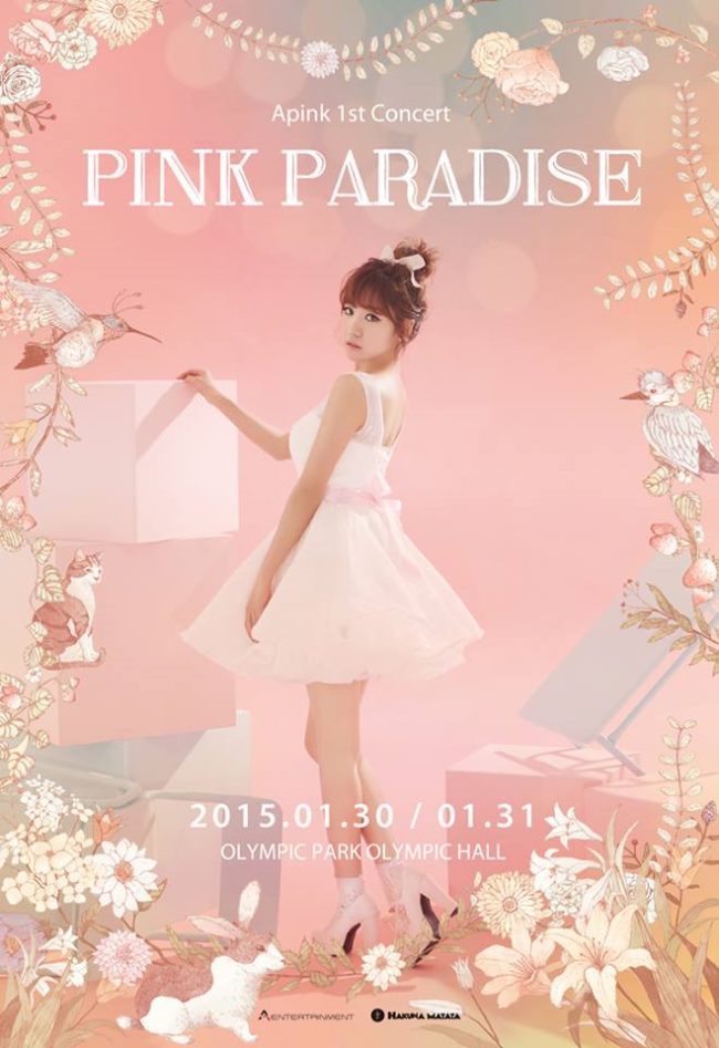 A Pink 演唱會個人海報：南珠