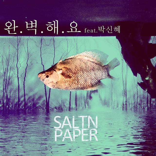 Tablo、朴信惠、SALTN PAPER 合作曲《完美》