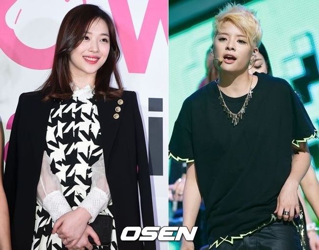 Sulli、Amber 