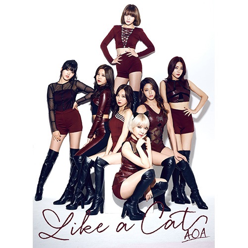 AOA 第二張日文單曲《Like A Cat》初回限定盤 B 封面