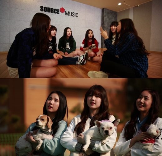 GFRIEND 推出實境節目《GFRIEND!拜託了,小狗》 GFRIEND 推出實境節目《GFRIEND!拜託了,小狗》