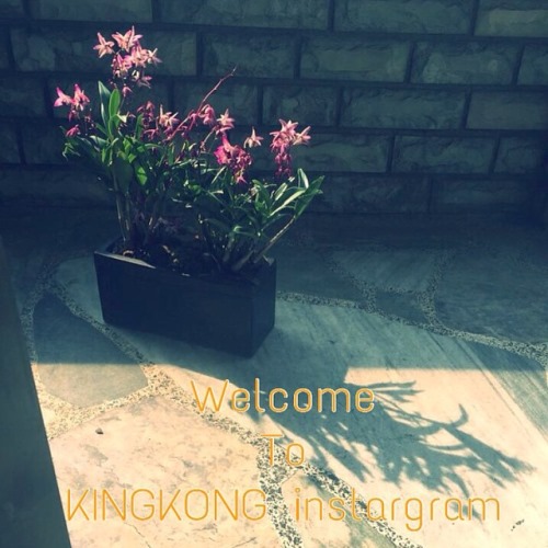 KINGKONG Ent. 官方 Instagram 啟用