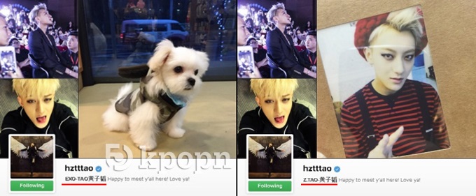 TAO Instagram 簡介對比圖