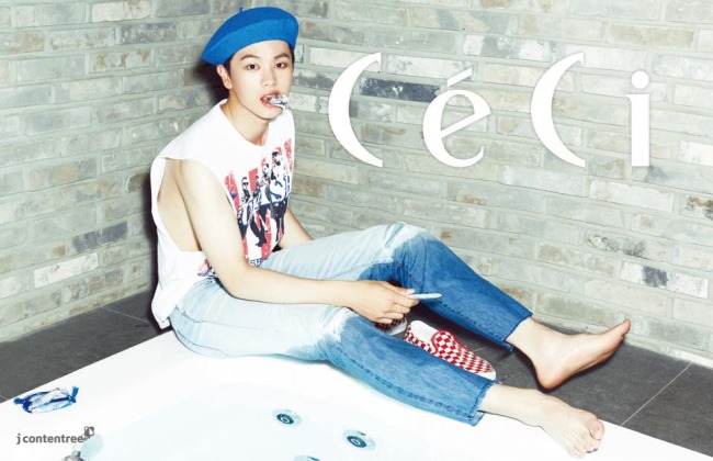 星材 @ CeCi 星材 @ CeCi