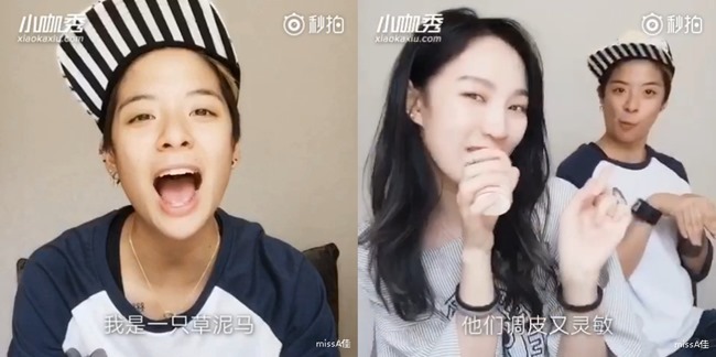 Jia、Amber「草泥馬之歌」