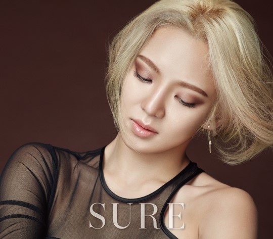 孝淵 @ SURE 