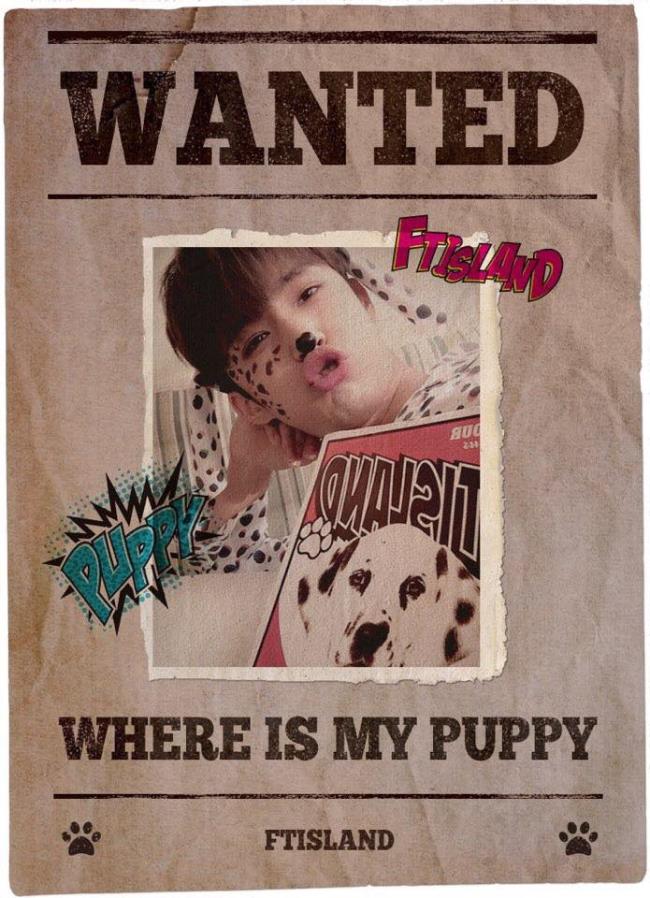 在真「Where Is My Puppy」 在真「Where Is My Puppy」