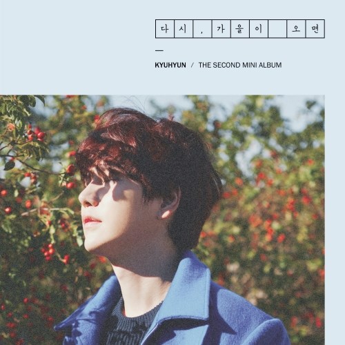 圭賢《Fall,Once Again》封面