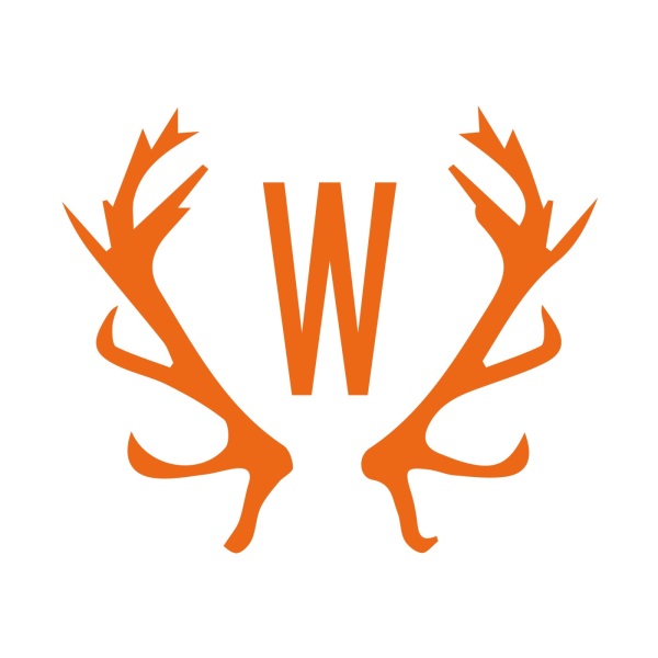 金烔完《W》封面
