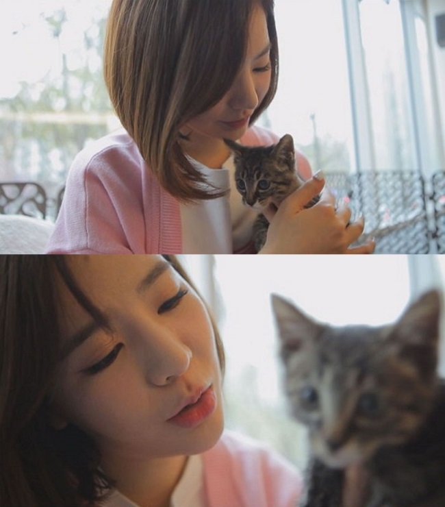 Sunny《動物農場》 Sunny《動物農場》