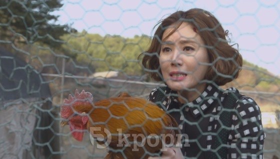 金成鈴《女王的花》劇照 金成鈴《女王的花》劇照