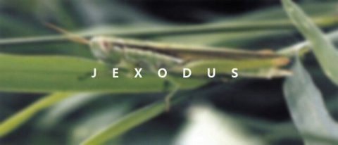 劉在錫 (EXO 專輯概念照) 劉在錫 (EXO 專輯概念照)