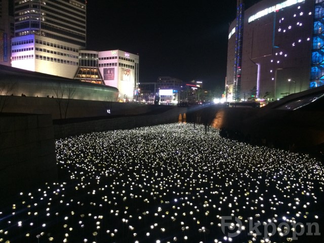 東大門 LED 玫瑰庭園展