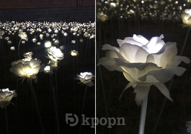 東大門 LED 玫瑰庭園展