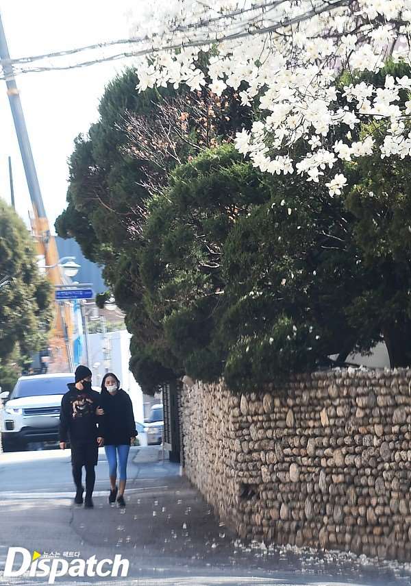 太陽、閔孝琳 約會照