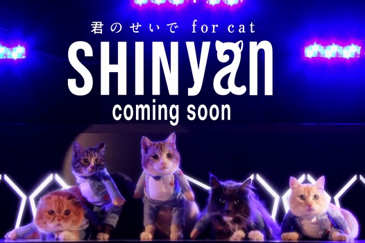 SHINyan《因為你 for cat》預告