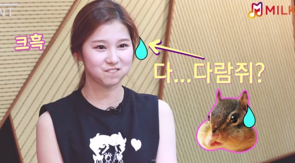 TWICE 認認樂 SANA 相似照片