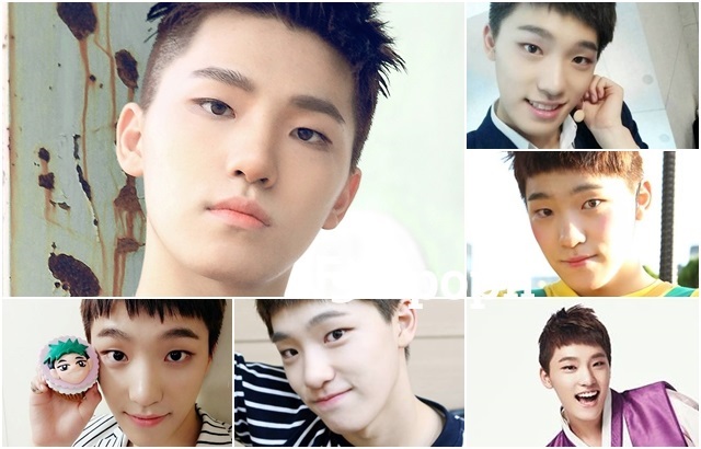 SEVENTEEN 認認樂 DINO