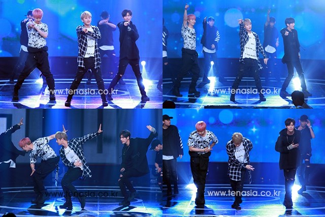 Double S 301《Show Champion》