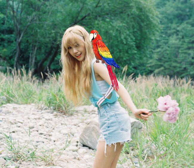 Mimi《Summer Special》概念照