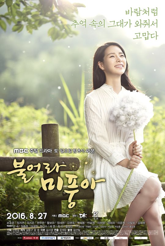 林智妍《吹吧,微風》海報