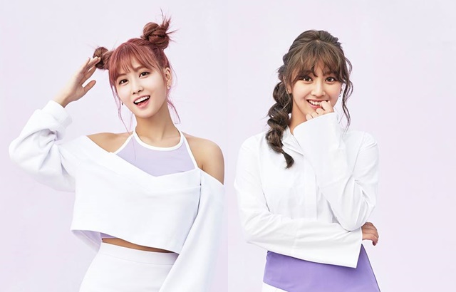 MOMO、志效