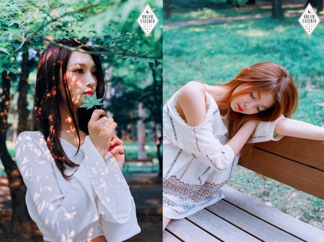 來源：Dream Catcher 官方網站)