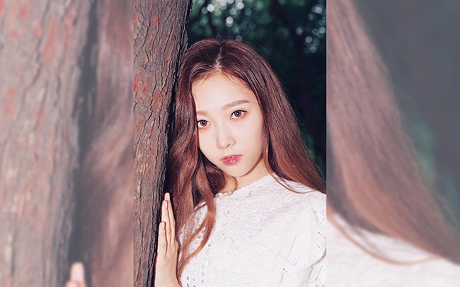 Han Dong