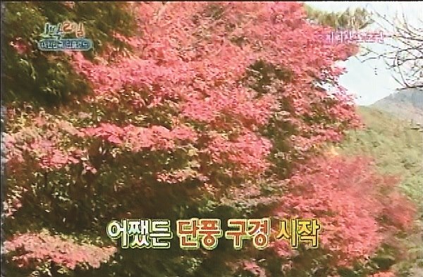 「智異山老姑壇」
