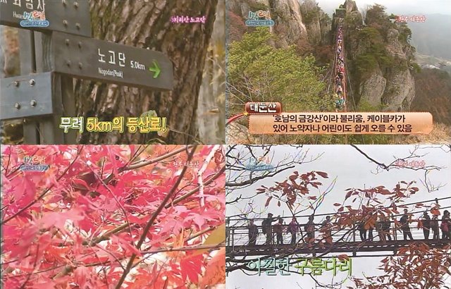 「智異山老姑壇」