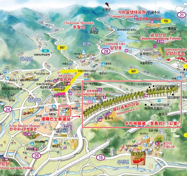 水杉林蔭道@地圖