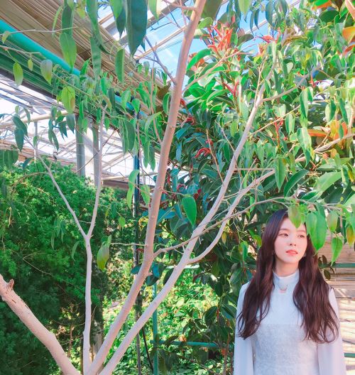 IRENE《Would U》劇照